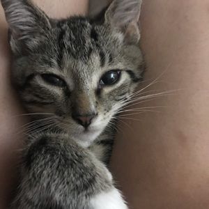 Meet your Posher, Kim